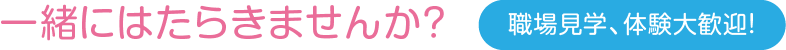 一緒に働きませんか?